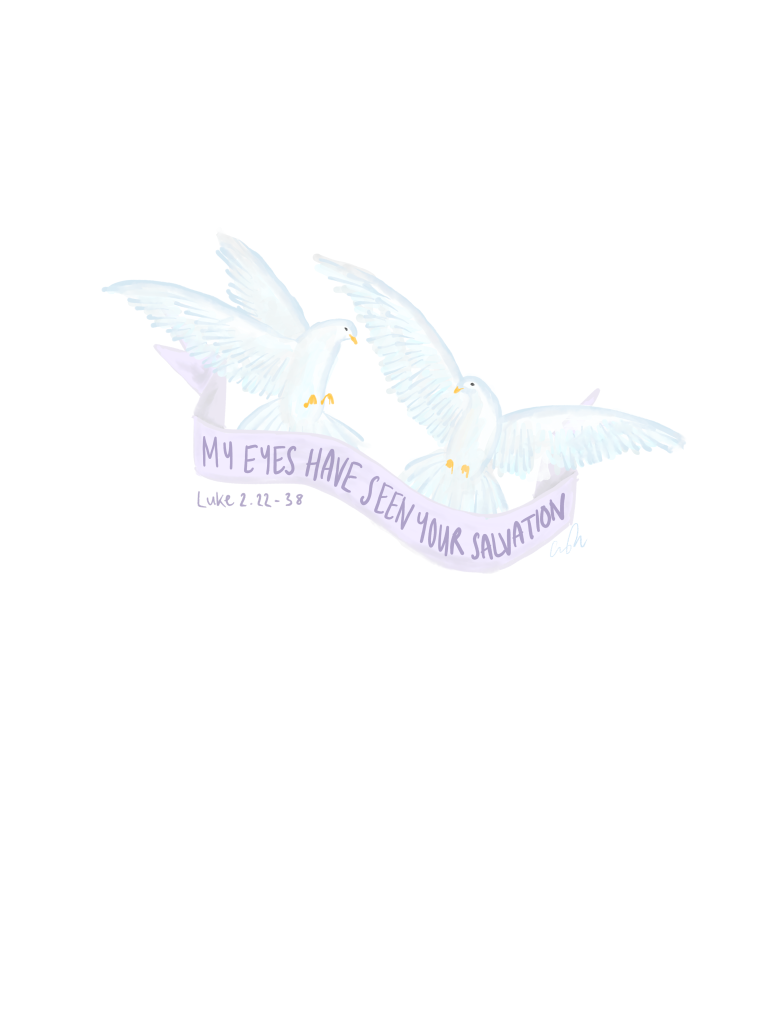 Two doves. Text: “My eyes have seen your salvation” Luke 2.22-38